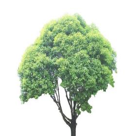 多规格实物商品-qwj