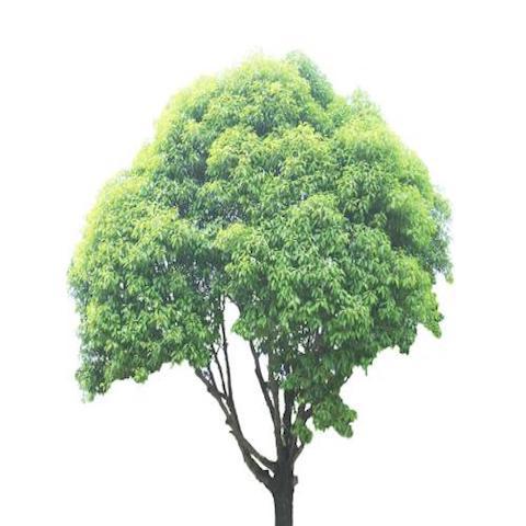 多规格实物商品-qwj 商品图0