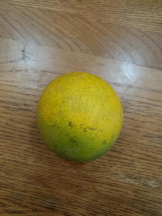 五一123123 商品图0