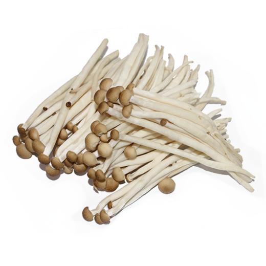 小茶菇 商品图2