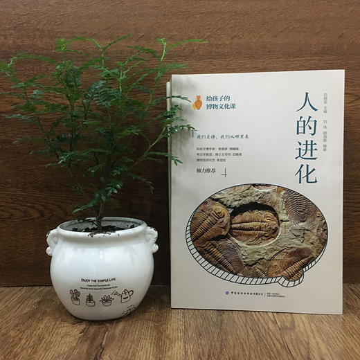 给孩子的博物文化课：人的进化   考古学教授博士生导师后晓荣博物馆研究员人类进化历史进程博物文化启蒙课科普书 商品图1