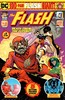 闪电侠 特大号 特刊 Flash Giant（2019） 商品缩略图2
