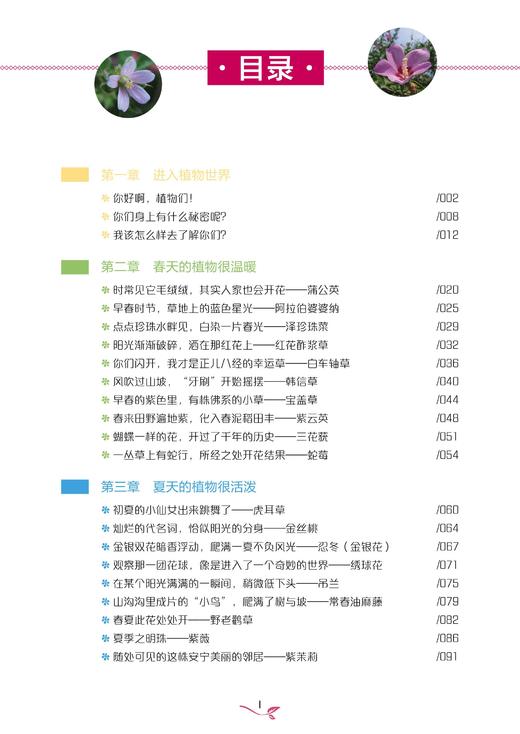 草木有情 四季植物笔记 野生植物爱好者书籍 工具书 回归自然 植物生态学植物生理学 中国花卉识别彩色大图鉴 城市花园植物科普 商品图2
