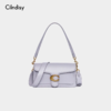 Cilidisy-AB官网2020春季新款小众通勤包 商品缩略图1