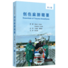 2020年新书：创伤麻醉精要（第2版） 卞金俊、薄禄龙主译（北京大学医学出版社） 商品缩略图0