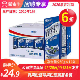 【团长】真果粒蓝莓果粒康美苗条装250g×12盒