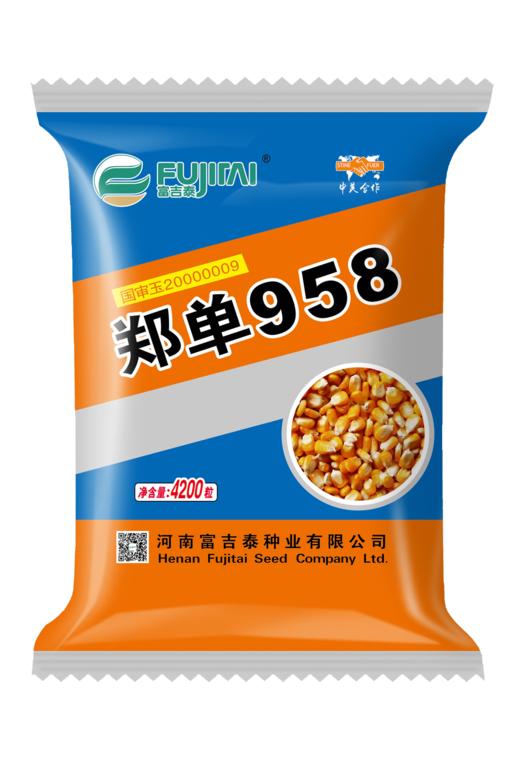 郑单958 商品图0