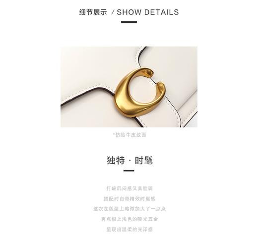 Cilidisy-AB官网2020春季新款小众通勤包 商品图5