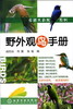 野外观鸟手册 商品缩略图0