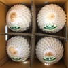 【下单送开椰器和吸管】泰国椰青4颗装 单果900g 当季新鲜 商品缩略图4