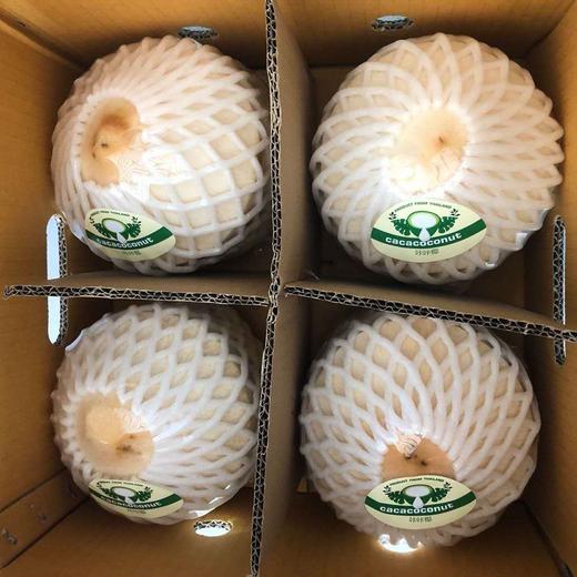 【下单送开椰器和吸管】泰国椰青4颗装 单果900g 当季新鲜 商品图4