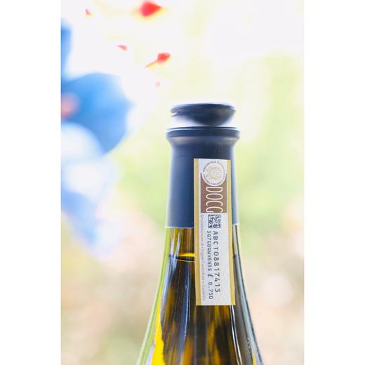 【流光溢彩】意大利-桑洛阿斯蒂起泡酒 商品图3