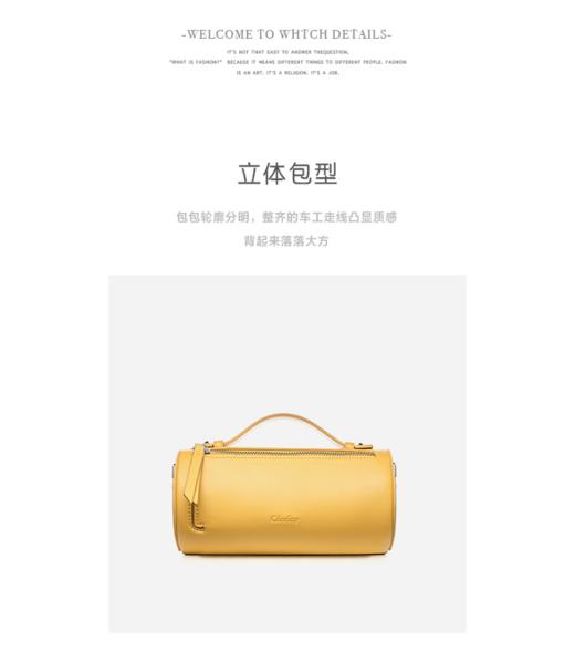 Cilidisy-CY官网2020春季新款圆筒包 商品图7