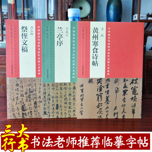 天下三大行书 王羲之兰亭序 颜真卿祭侄文稿 苏轼黄州寒食帖 3册中国具代表性书法作品放大本系列 原碑帖临摹墨本书法收藏鉴赏书籍此系列2本以上包邮 商品图0