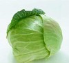 社区团购优质洋白菜 商品缩略图0