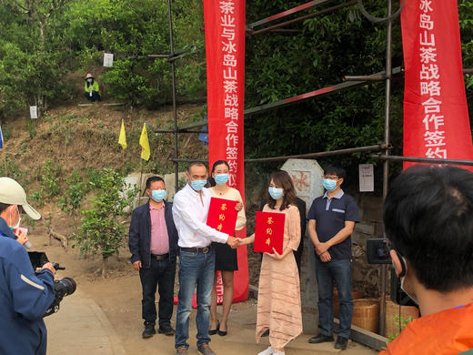 八马信记号|普洱生茶 冰岛（357克*5饼）C133402 商品图1