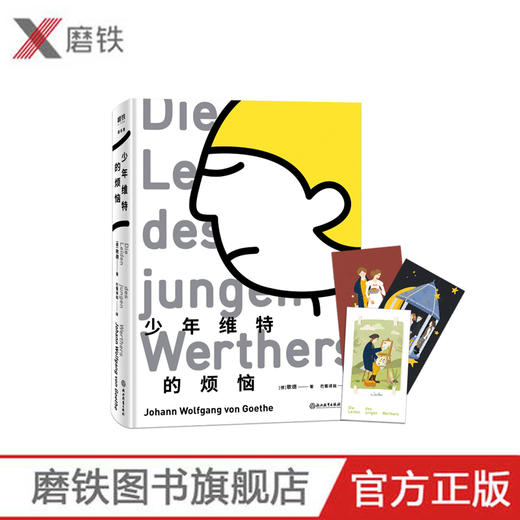 少年维特的烦恼 商品图0