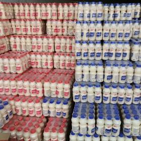 江苏味动力乳酸菌饮品340ml×12