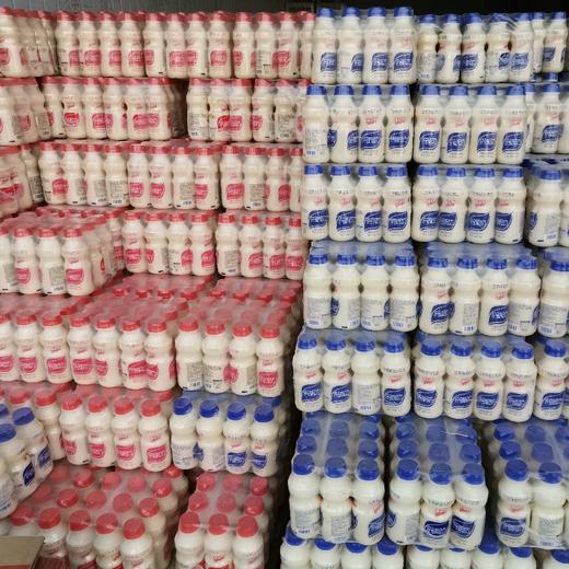 江苏味动力乳酸菌饮品340ml×12 商品图0