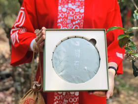 澜沧古茶 2020年啜春景迈山古茶林养护公益茶普洱茶生茶