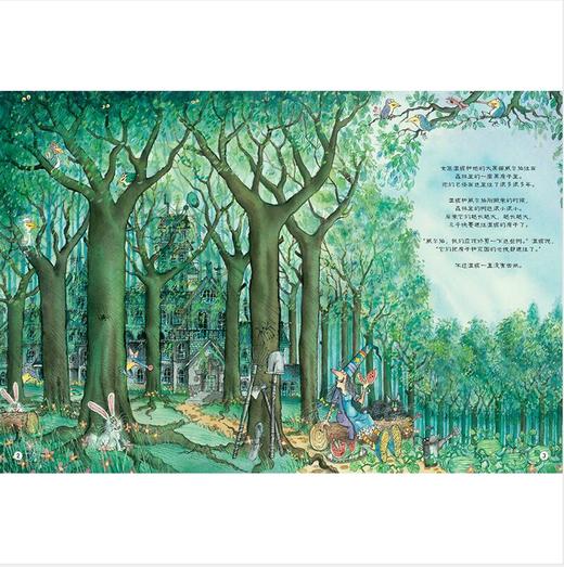 温妮和神秘怪兽(温妮女巫魔法绘本:精装珍藏版) 商品图1