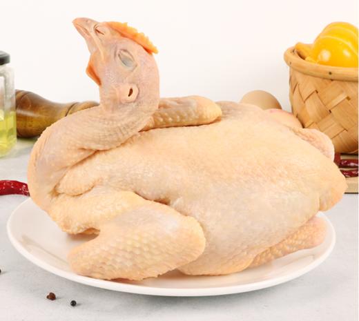 【广、佛、中、东莞-奥园物业业主专享】精选生鲜系列  扇鸡净重4.2斤/只 商品图1