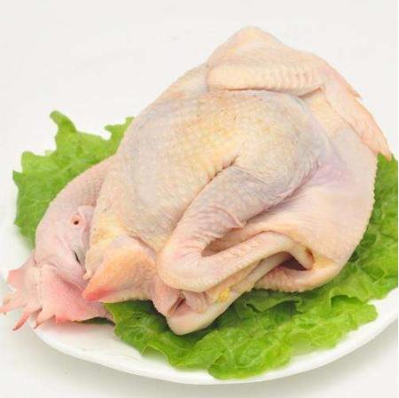 【广、佛、中、东莞-奥园物业业主专享】精选生鲜系列 老鸡净总3.5斤/只 商品图0