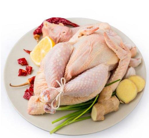 【广、佛、中、东莞-奥园物业业主专享】精选生鲜系列 老鸡净总3.5斤/只 商品图1