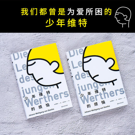 少年维特的烦恼 精装版 德语翻译家、歌德研究学者杨武能经典译本 商品图1