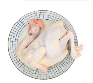 【广、佛、中、东莞-奥园物业业主专享】精选生鲜系列  扇鸡净重4.2斤/只 商品图2