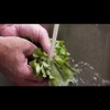百特斯水家体验 商品缩略图2