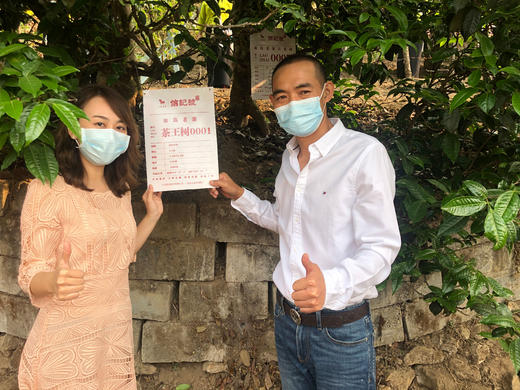 八马信记号|普洱生茶 冰岛（357克*5饼）C133402 商品图2