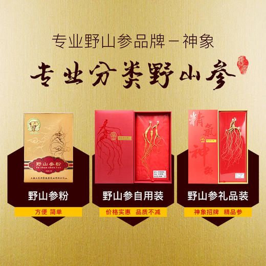 神象包装人参野山参礼盒6克富含人参皂甙厂家直销15年以上野山参 商品图3