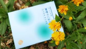 想要双目滋润？你需要自发热+中药配方的蒸汽眼罩