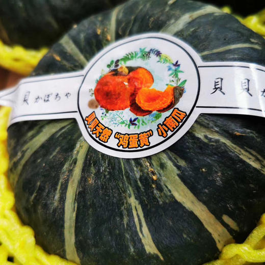 贝贝南瓜🎃礼盒精选5-6枚装 商品图5