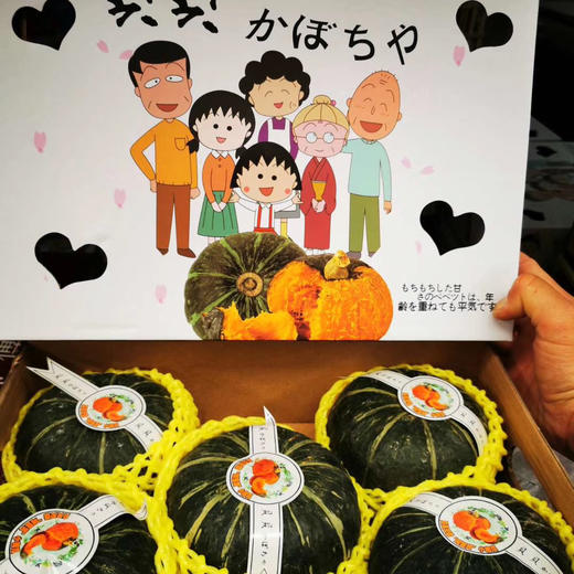 贝贝南瓜🎃礼盒精选5-6枚装 商品图3