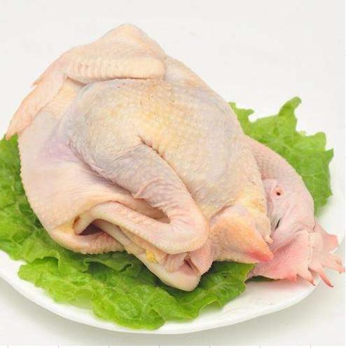 【广、佛、中、东莞-奥园物业业主专享】精选生鲜系列 柚子鸡净重2.6斤/只 商品图1