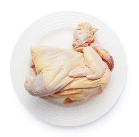 【广、佛、中、东莞-奥园物业业主专享】精选生鲜系列 柚子鸡净重2.6斤/只