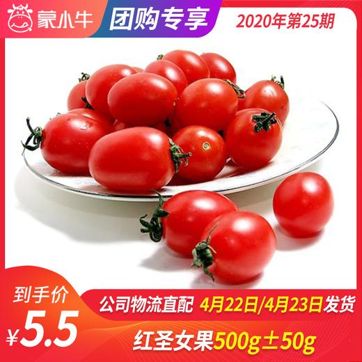 【团长】红圣女果500g±50g 商品图0