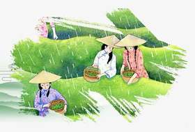 谷雨-告别最后的春天