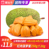 【团长】红肉菠萝蜜250g±20g 商品缩略图0