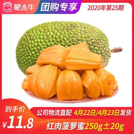 【团长】红肉菠萝蜜250g±20g 商品图0