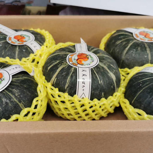 贝贝南瓜🎃礼盒精选5-6枚装 商品图4