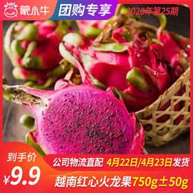 【团长】越南红心火龙果750g±50g
