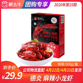 【团长】德炎 麻辣小龙虾500g