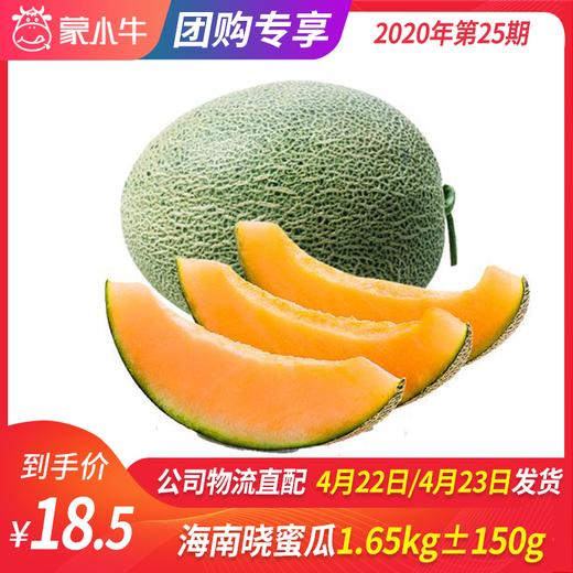 【团长】海南 晓蜜瓜1.65kg±150g 商品图0