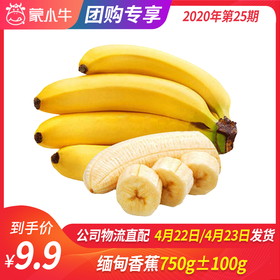 【团长】缅甸香蕉750g±100g