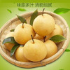 【社区团购】沣水梨10元/10斤 商品缩略图0