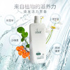 欧芭印象83号植萃平衡洗发乳 商品缩略图2