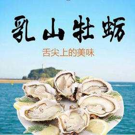 【社区团购】正宗乳山牡蛎25元/5斤